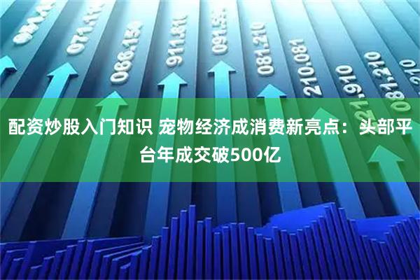 配资炒股入门知识 宠物经济成消费新亮点：头部平台年成交破500亿